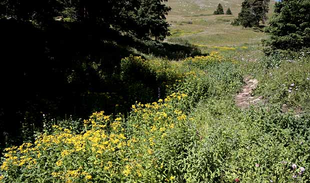 Boreas Pass