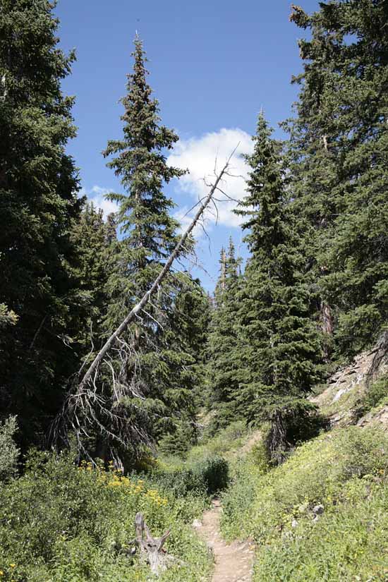 Boreas Pass