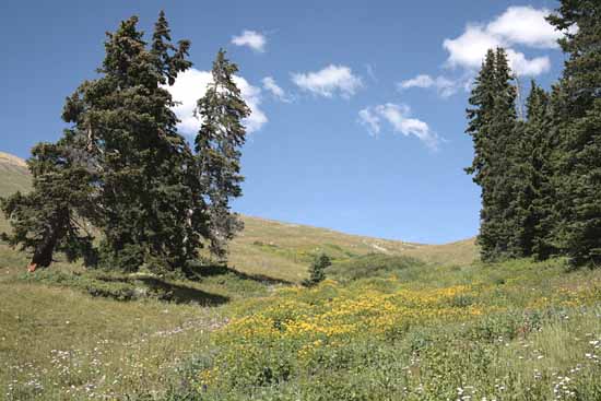 Boreas Pass