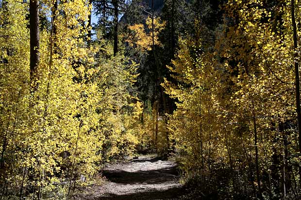 Ten Mile Trail