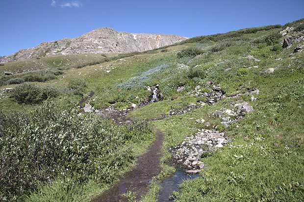 Gold Beaver Mine