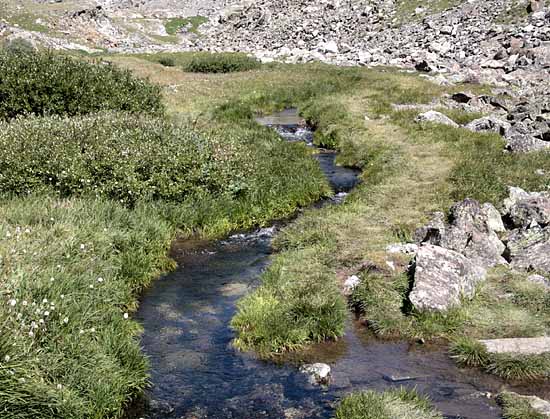 Gold Beaver Mine