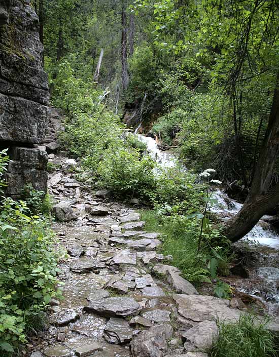 Hanging Lake Trail