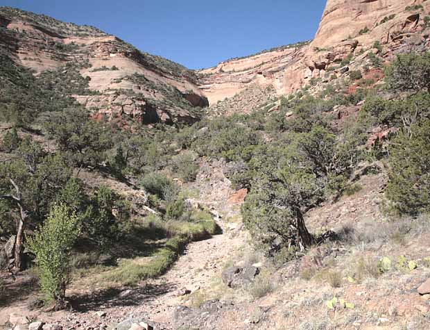 Monument Canyon