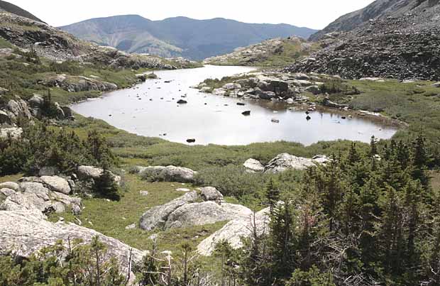 McCullough Gulch