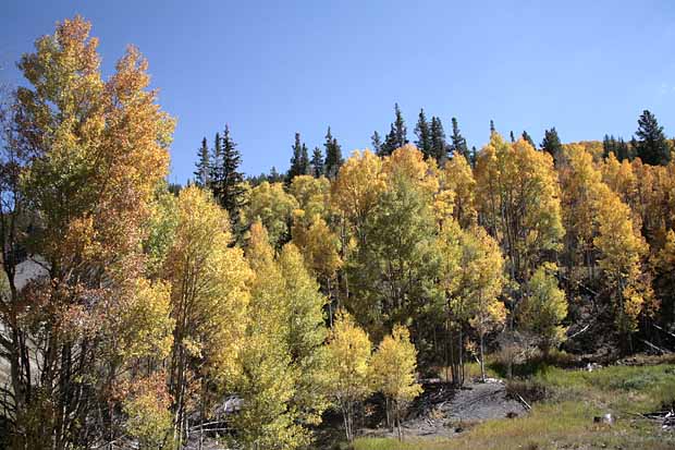 Breckenridge