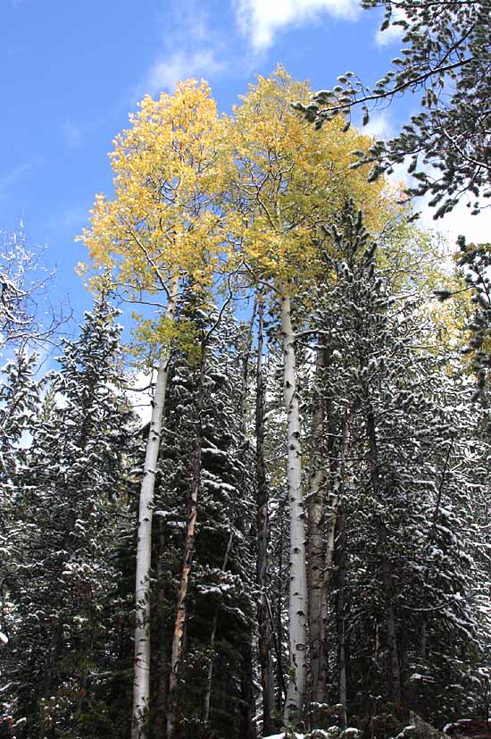 Headwaters of the Colorado River