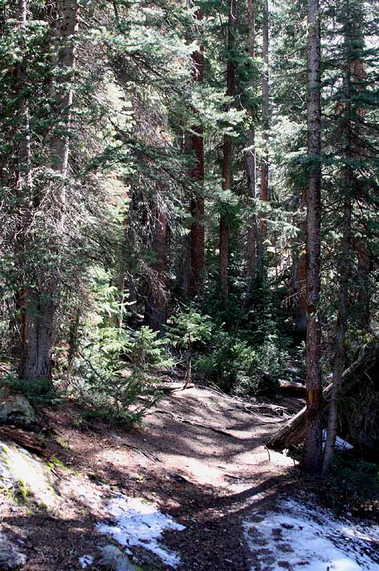 Lake Charles Trail