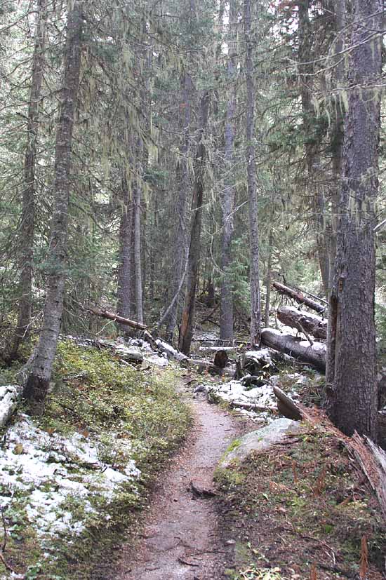 Lake Charles Trail