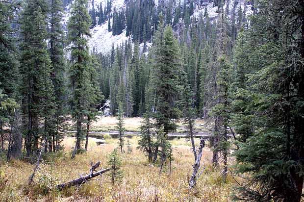 Lake Charles Trail