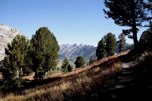 Ruby Mountains