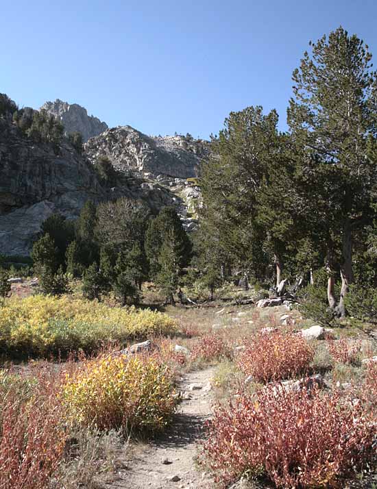 Ruby Mountains