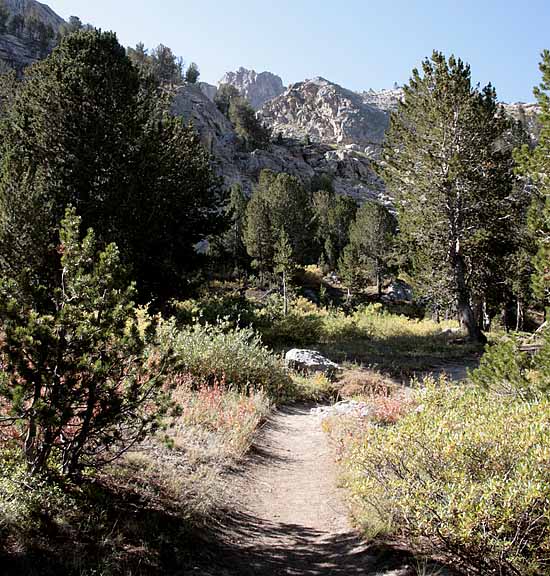 Ruby Mountains