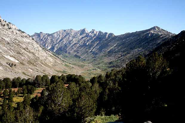 Ruby Mountains