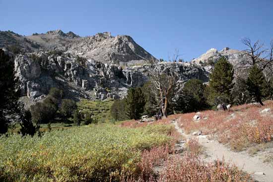 Ruby Mountains