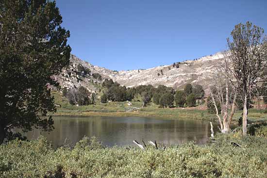 Ruby Mountains