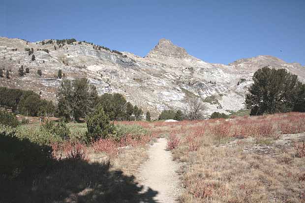 Ruby Mountains