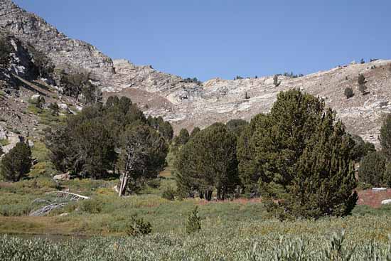 Ruby Mountains