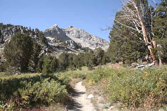 Ruby Mountains