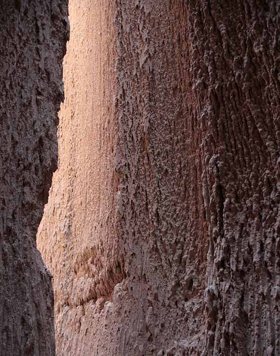 Cathedral Gorge State Park