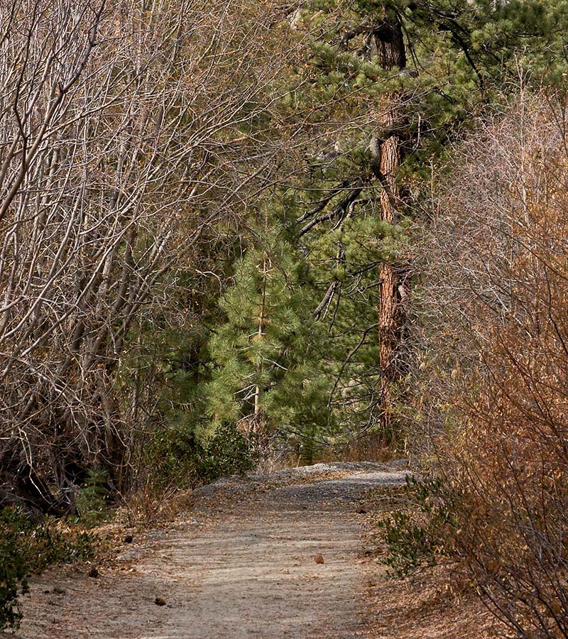 Tunnel Creek Hike