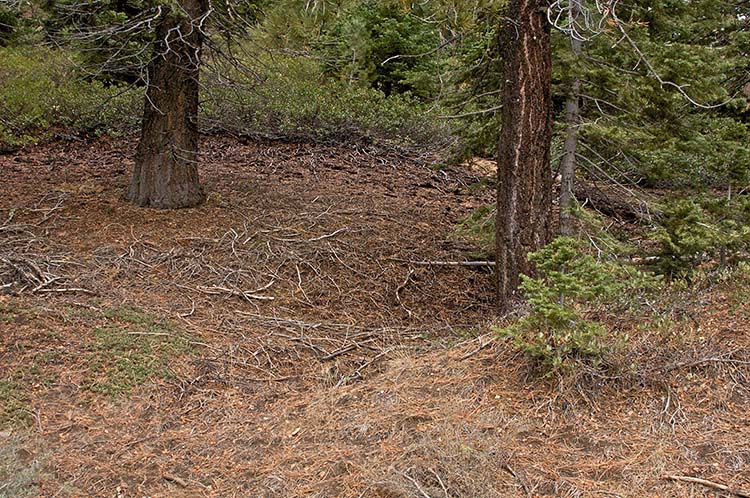 Tunnel Creek Hike