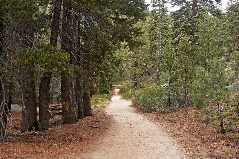 Tunnel Creek Hike