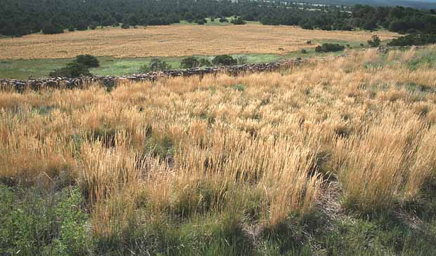 Pecos National Historical Park