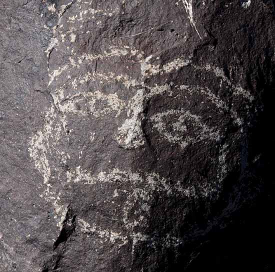 Three Rivers Petroglyph Site