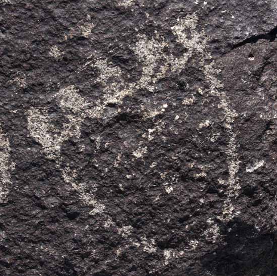 Three Rivers Petroglyph Site