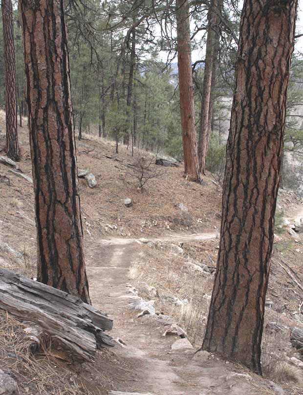 Gila Cliff Dwellings National Monument