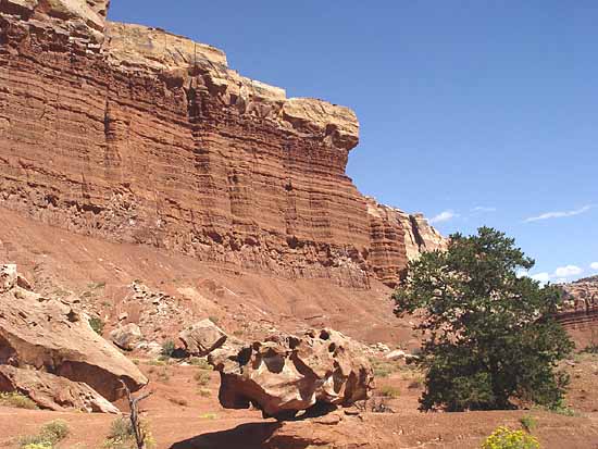 Capitol Reef National Park