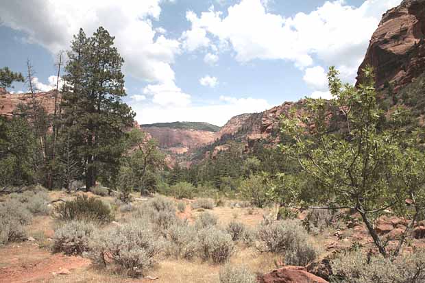 Kolob Arch