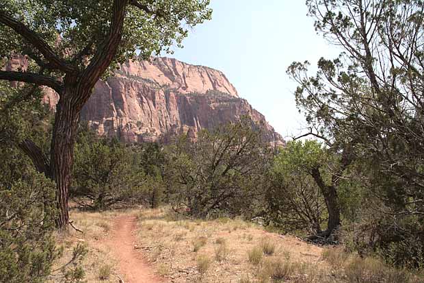 Kolob Arch