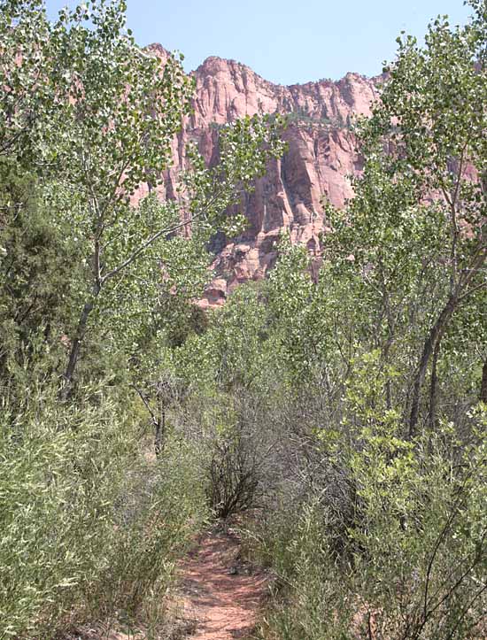 Kolob Arch