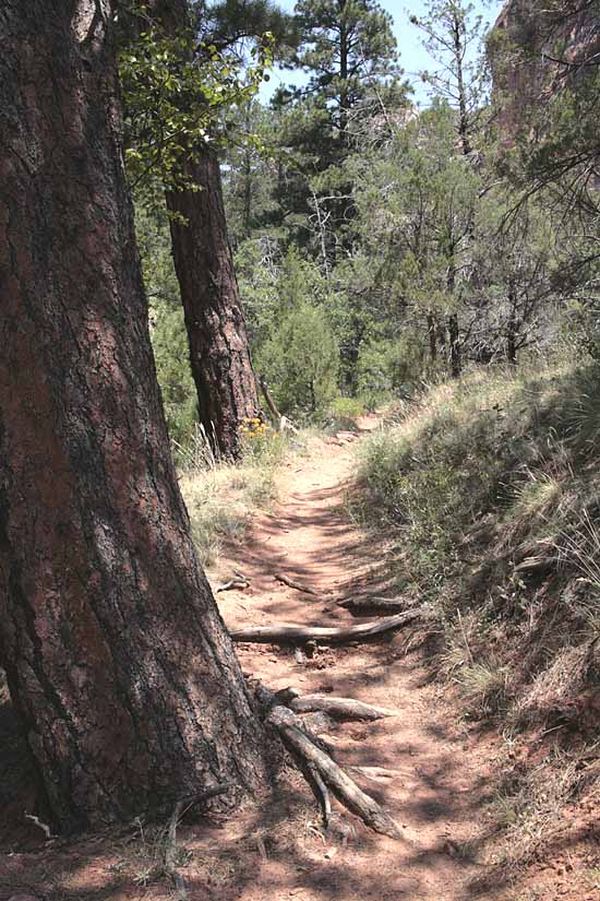 Kolob Arch