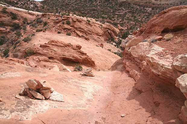 Upheaval Canyon Trail