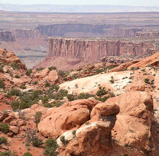 Upheaval Canyon Trail