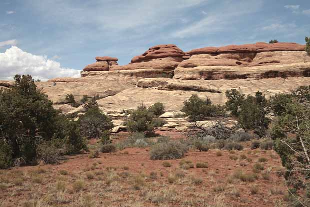 Newspaper Rock to Elephant Hill