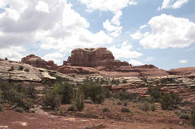 Newspaper Rock to Elephant Hill