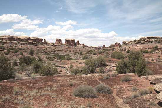 Newspaper Rock to Elephant Hill