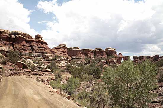 Newspaper Rock to Elephant Hill