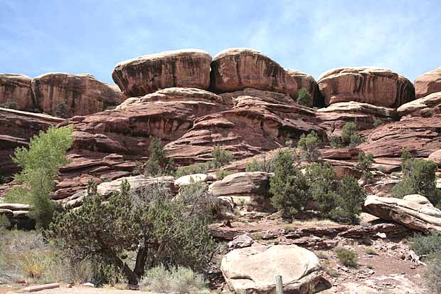 Newspaper Rock to Elephant Hill