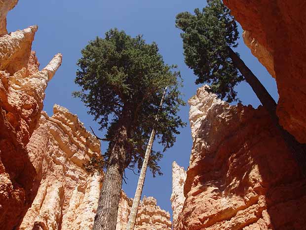 Bryce Canyon National Park