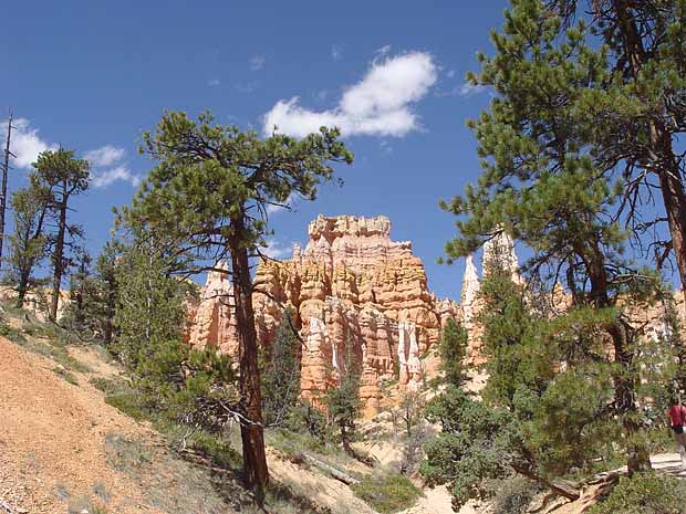 Bryce Canyon National Park