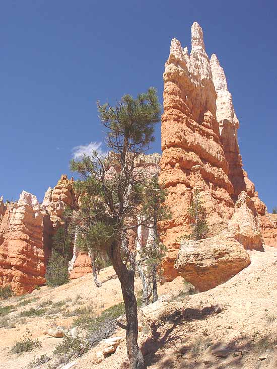 Bryce Canyon National Park