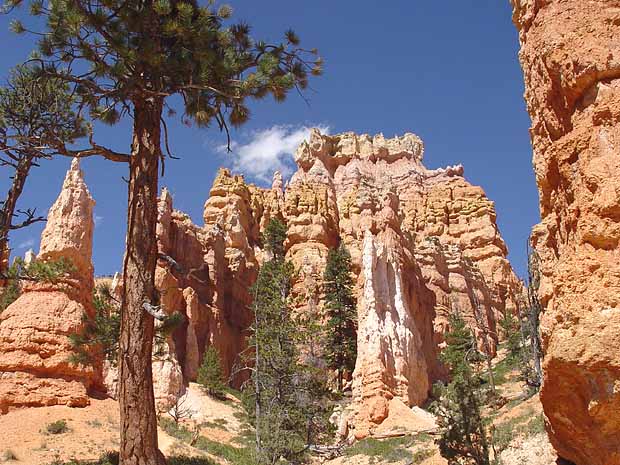 Bryce Canyon National Park