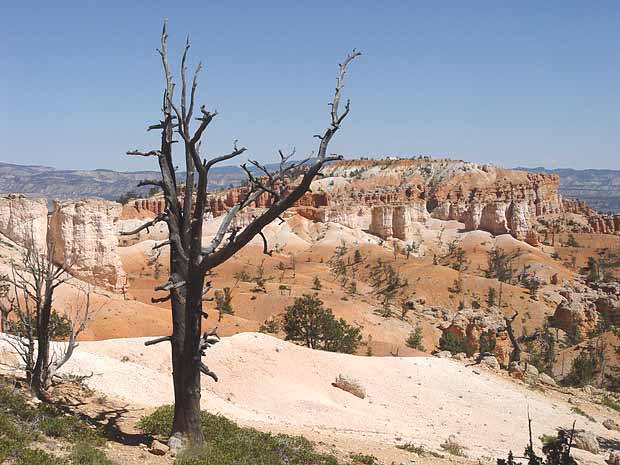 Bryce Canyon National Park