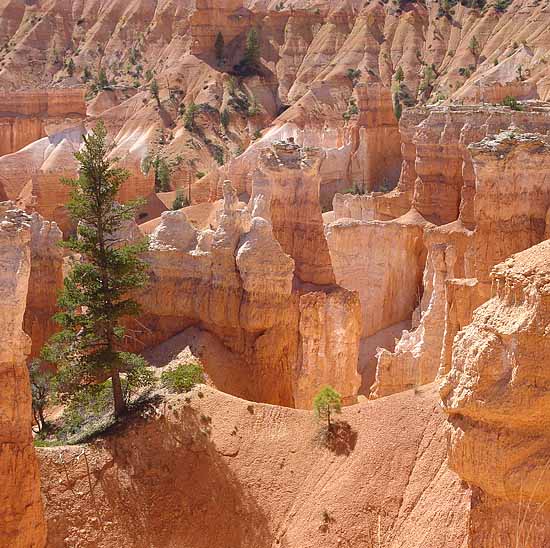 Bryce Canyon National Park