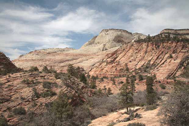 Eastern Entrance into Zion National Park